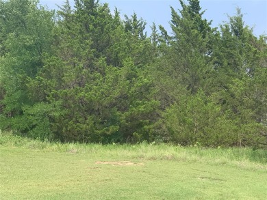 2 Lots with Cedars - Lake Lot For Sale in Pottsboro, Texas