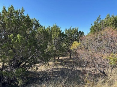 One acre lot overlooking the south end of The Hills and - photo 6