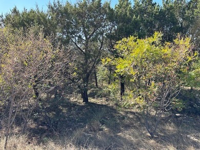 One acre lot overlooking the south end of The Hills and - photo 7