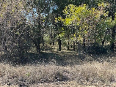 One acre lot overlooking the south end of The Hills and - photo 8