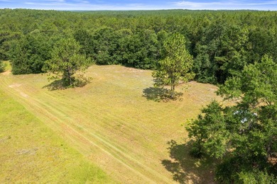 Just 5 miles North of town, approximately 22 acres with a couple - photo 11