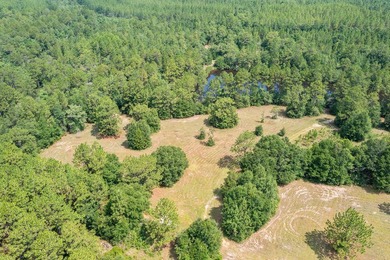Just 5 miles North of town, approximately 22 acres with a couple - photo 12