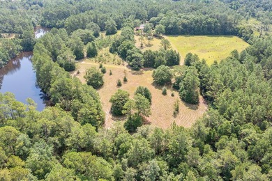 Just 5 miles North of town, approximately 22 acres with a couple - photo 13