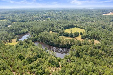Just 5 miles North of town, approximately 22 acres with a couple - photo 15