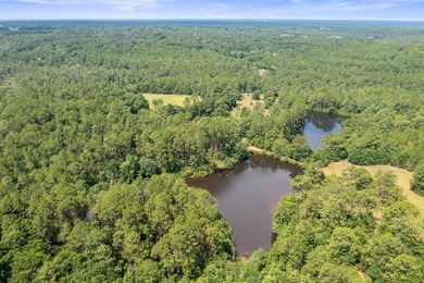 Just 5 miles North of town, approximately 22 acres with a couple - photo 17