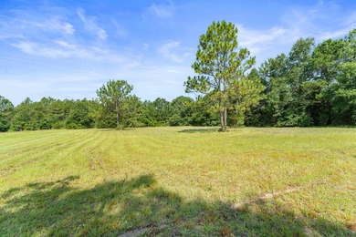 Just 5 miles North of town, approximately 22 acres with a couple - photo 18