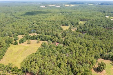 Just 5 miles North of town, approximately 22 acres with a couple - photo 19
