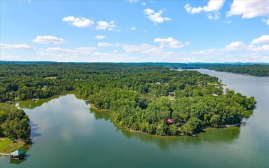 Unrestricted Lakefront Peninsula on 6.86+ Acres - Endless - photo 3