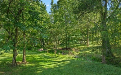 Unrestricted Lakefront Peninsula on 6.86+ Acres - Endless - photo 4
