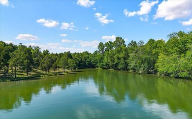 Unrestricted Lakefront Peninsula on 6.86+ Acres - Endless - photo 6