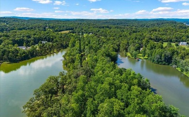 Unrestricted Lakefront Peninsula on 6.86+ Acres - Endless - photo 7