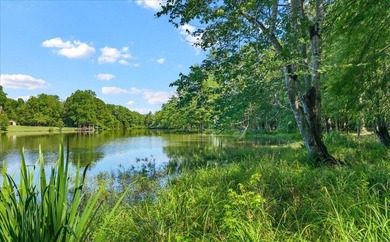 Unrestricted Lakefront Peninsula on 6.86+ Acres - Endless - photo 9