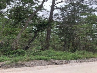 Beautiful lot for home near water to build your forever home or - photo 4