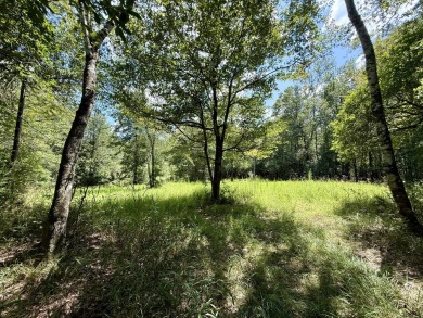 (private lake, pond, coastal) Acreage For Sale in Vinegar Bend Alabama