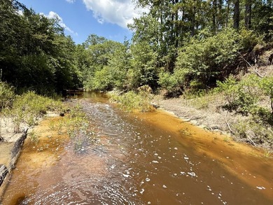 This prime hunting & timber investment is located in the Vinegar - photo 2