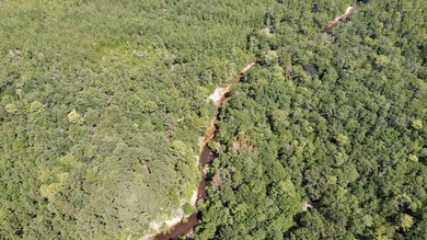 This prime hunting & timber investment is located in the Vinegar - photo 3
