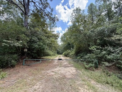 This prime hunting & timber investment is located in the Vinegar - photo 4