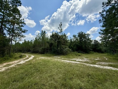 This prime hunting & timber investment is located in the Vinegar - photo 5