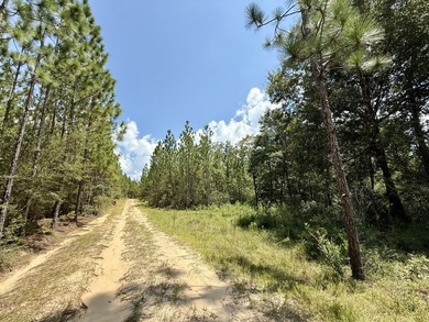 This prime hunting & timber investment is located in the Vinegar - photo 6