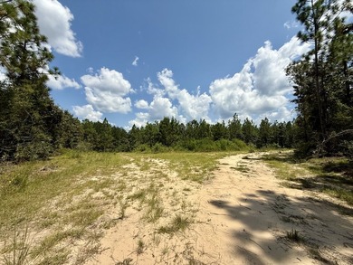 This prime hunting & timber investment is located in the Vinegar - photo 7