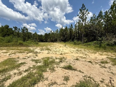 This prime hunting & timber investment is located in the Vinegar - photo 8