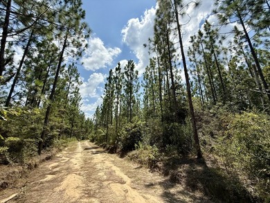 This prime hunting & timber investment is located in the Vinegar - photo 9