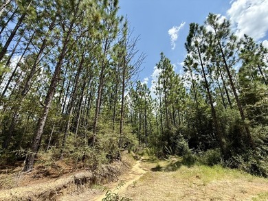 This prime hunting & timber investment is located in the Vinegar - photo 10