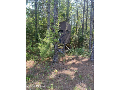 Turnkey hunting properties with this level of infrastructure - photo 11
