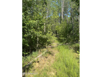 Turnkey hunting properties with this level of infrastructure - photo 13
