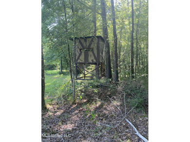 Turnkey hunting properties with this level of infrastructure - photo 16