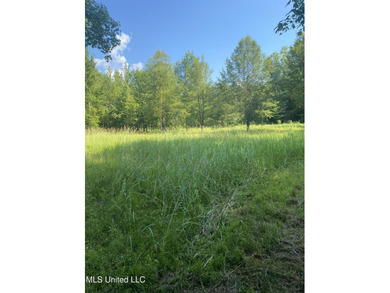Turnkey hunting properties with this level of infrastructure - photo 17