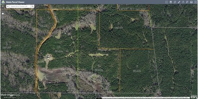 Turnkey hunting properties with this level of infrastructure - photo 34
