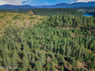 Owner Financing Available! Stunning 5 Acres in Kelso Lake - photo 1