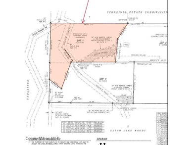 Owner Financing Available! Stunning 5 Acres in Kelso Lake - photo 3