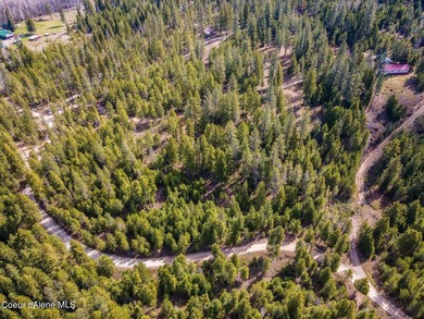 Owner Financing Available! Stunning 5 Acres in Kelso Lake - photo 8