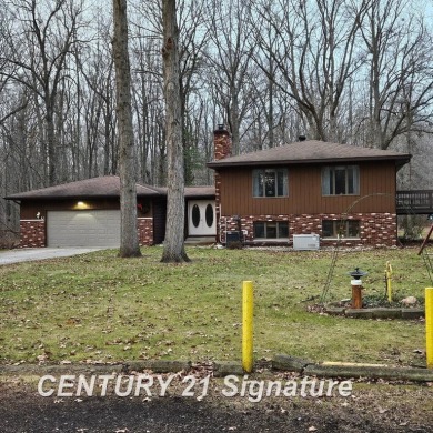 Lake Home For Sale in Hemlock, Michigan