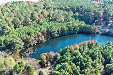 (private lake, pond, coastal) Acreage Sale Pending in Parksley Virginia