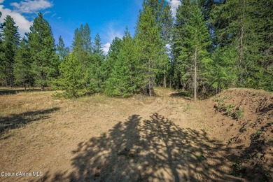 Owner Financing Available! Stunning 5 Acres in Kelso Lake - photo 3