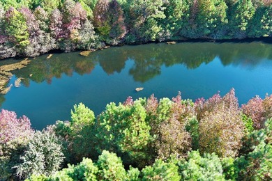 Discover your own piece of natural paradise with this beautiful - photo 3