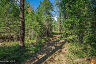Owner Financing Available! Stunning 5 Acres in Kelso Lake - photo 8