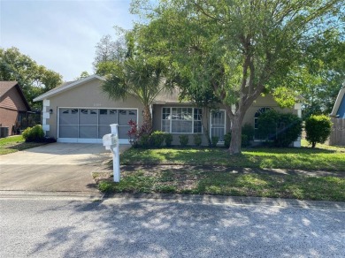 Pithlachascotee River - Pasco County Home Sale Pending in New Port Richey Florida