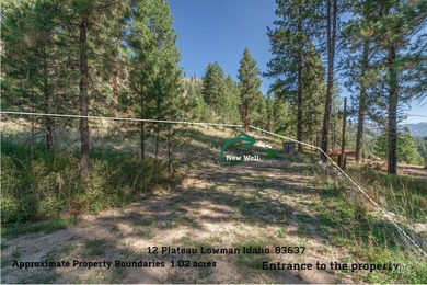 (private lake, pond, creek) Lot For Sale in Lowman Idaho