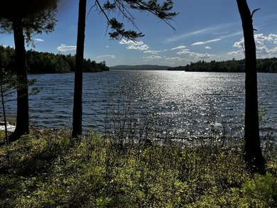 FOR SALE FOR FIRST TIME . CABIN HAS BEEN IN SAME FAMILY SINCE - photo 3