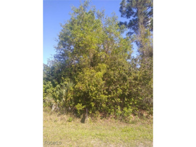 Port Charlotte Waterway Lakes Area Lot For Sale in Port Charlotte Florida