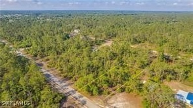 Lehigh Acres Area Lot For Sale in Alva Florida
