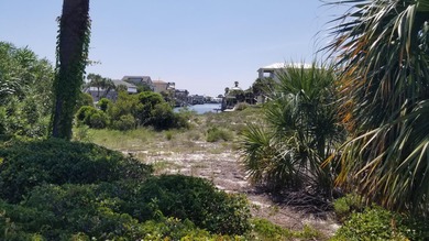This Is One Of Those Legacy Lots You Rarely See For Sale. HUGE 0 - photo 11