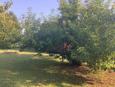 Have you considered a home in a 55+ community? Come see - photo 12