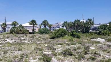 This Is One Of Those Legacy Lots You Rarely See For Sale. HUGE 0 - photo 17