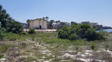 This Is One Of Those Legacy Lots You Rarely See For Sale. HUGE 0 - photo 21