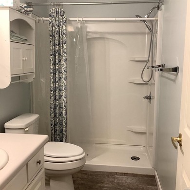 Have you considered a home in a 55+ community? Come see - photo 23